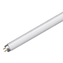 Fluorescent Tube T8