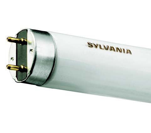 Sylvania T8 Halophsphte 36W 977mm 840