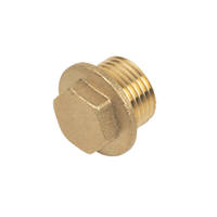 1/2 Flanged Brass Plug
