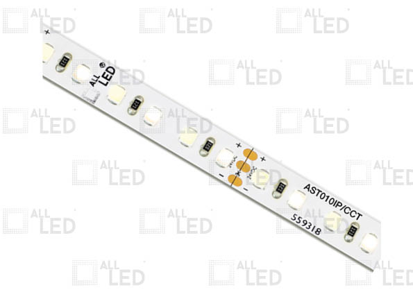 ALL LED 10W/M IP65 LED STRIP, IP65 24V