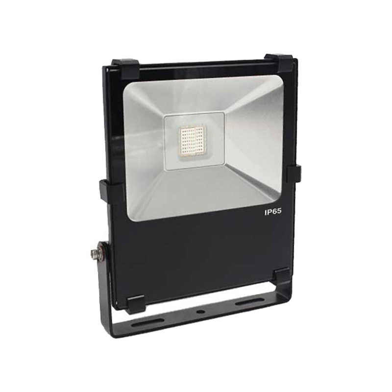 GAP FL100-RGB RGB LED Floodlight 100W