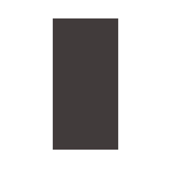 Hamilton EuroFix 25x50mm Module Blank Black/Black