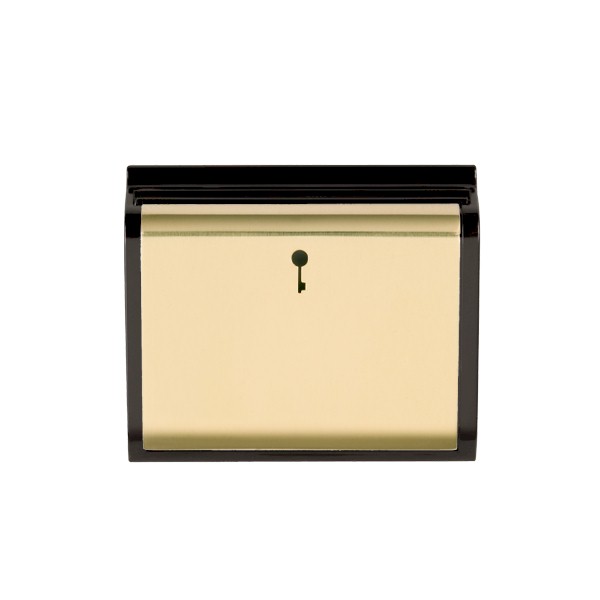 Hamln MOD-C11PB-B Card Switch 1G 10A