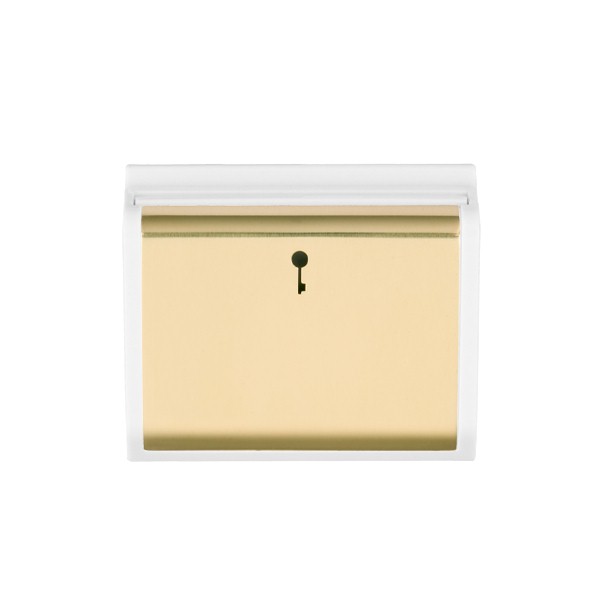 Hamln MOD-C11PB-W Card Switch 1G 10A