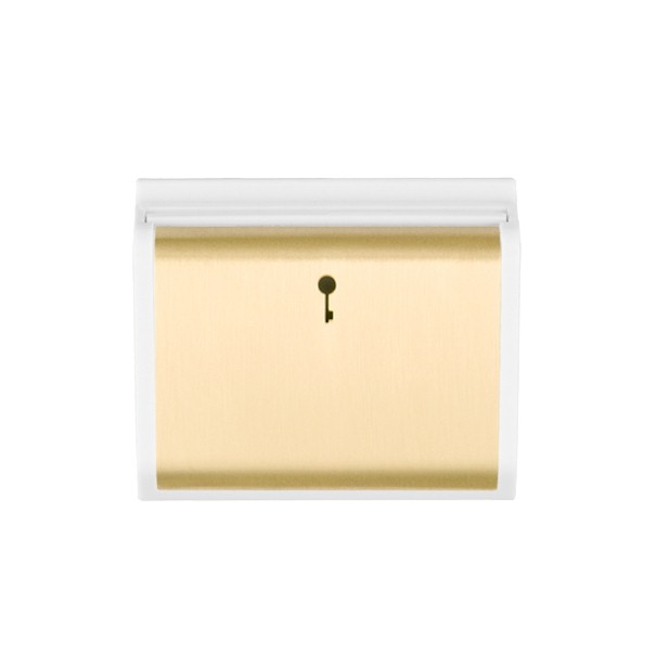 Hamln MOD-C11SB-W Card Switch 1G 10A